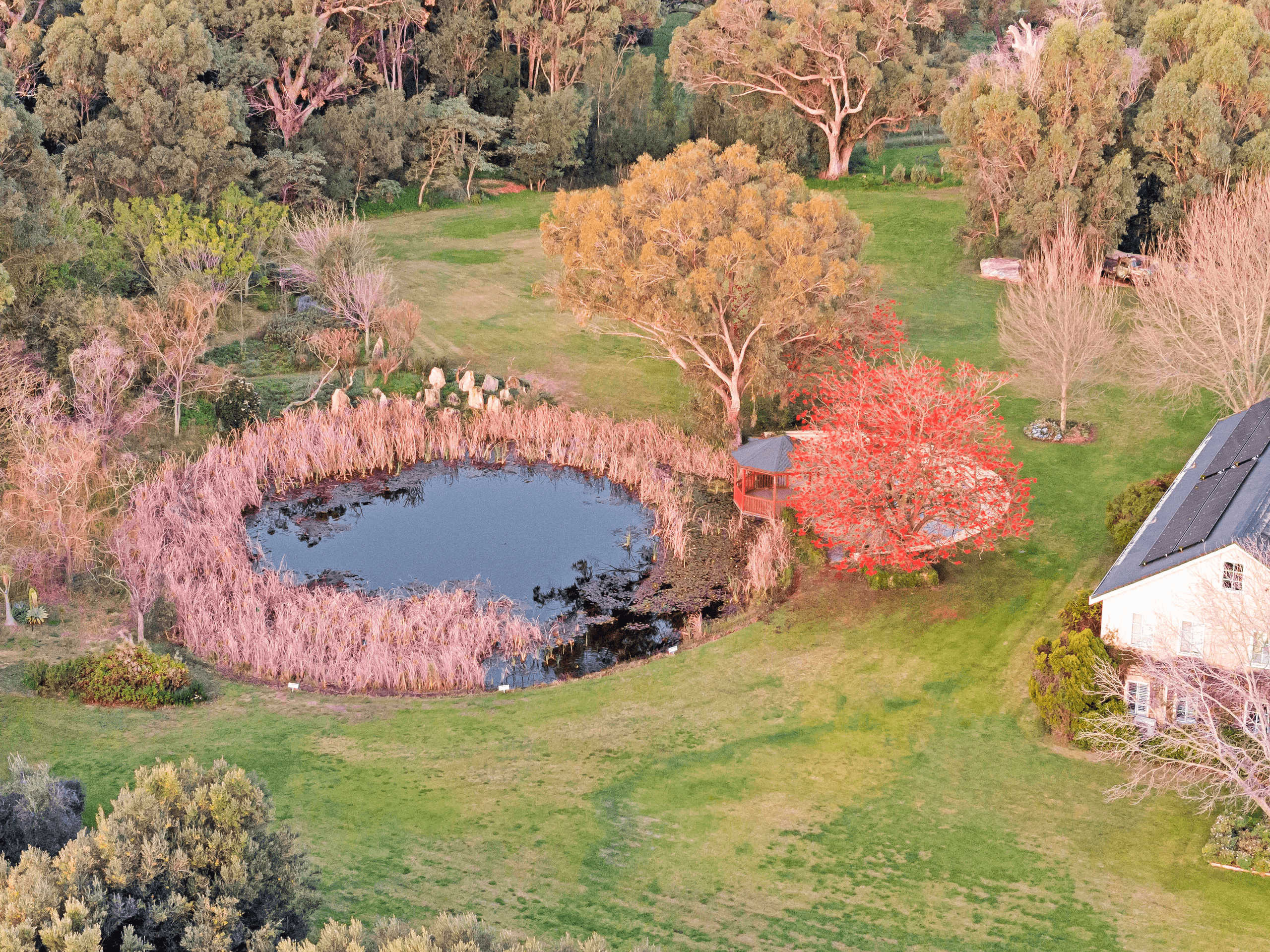 Aerial view of the garden pond surrounded by autumn colour