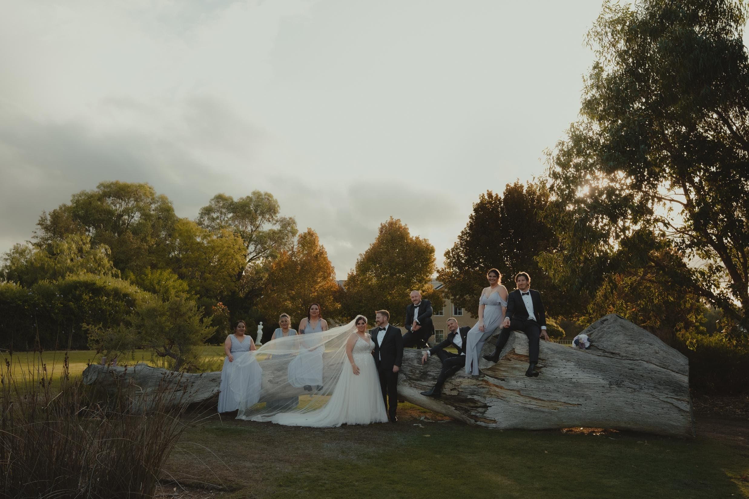 Bridal party posed on a large fallen log at sunset, the bride's veil blowing in the wind